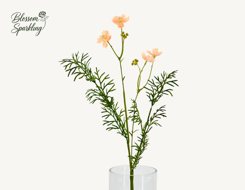 Beautiful Cosmos Flowers